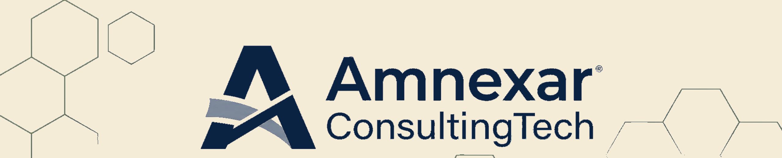 amnexar banner website ultra hd